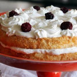 עוגת סברינה נוסטלגית