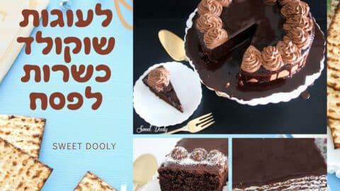 מתכונים לעוגות שוקולד לפסח