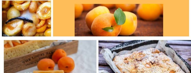 מתכונים עם מישמשים טעימים