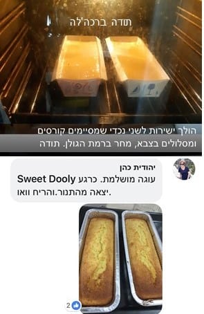 עוגת מנדרינות בחושה פרווה