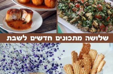 3 מתכונים חדשים לשבת