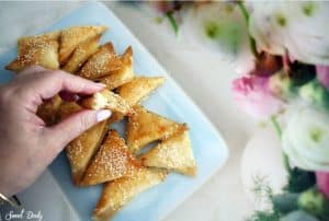 בורקיטס מגבינה מעלי פילו