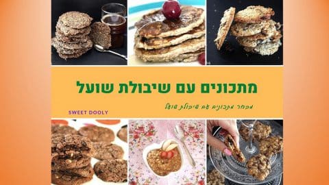 עשרה מתכונים עם שיבולת שועל