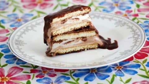 קסטה גלידה בייתית שוקו וניל