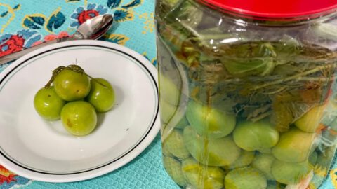 שזיפים ירוקים חמוצים כבושים