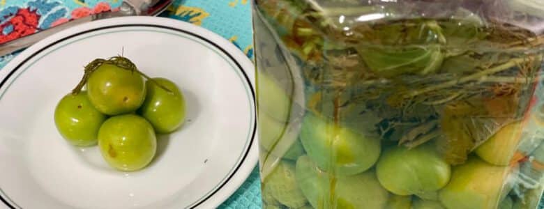 שזיפים ירוקים חמוצים כבושים