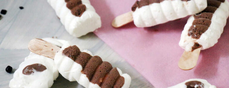 מתכון לארטיק וניל שוקולד