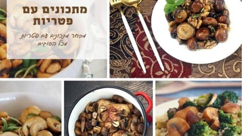 40 מתכונים עם פטריות