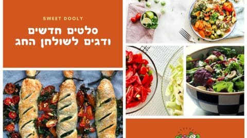 סלטים חדשים לשולחן החג