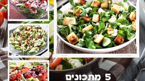 חמישה מתכונים לסלט חסה