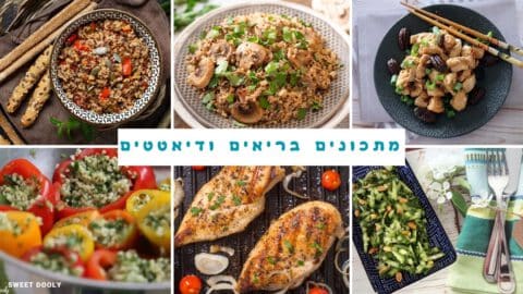 9 מתכונים בריאים ודיאטטיים