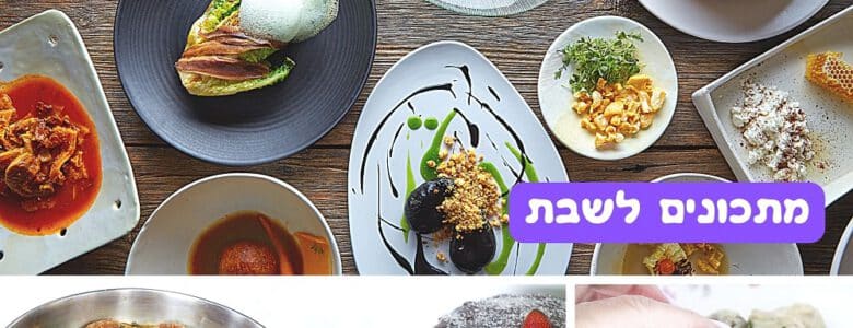 מתכונים מהמנה הראשונה עד לקינוח