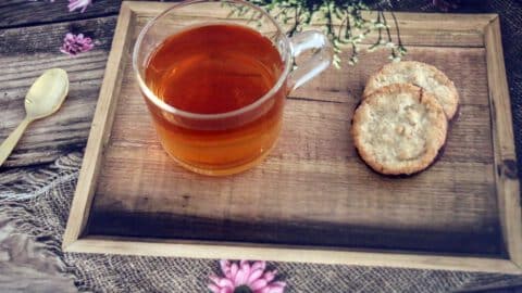 תה ממחטי אורנים תרופת הפלא לחורף