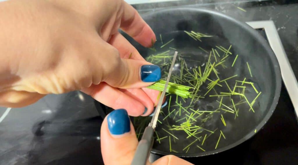 תה ממחטי אורנים תרופת הפלא לחורף