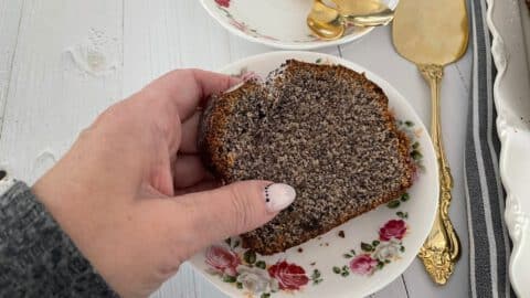 עוגת פרג וניל רכה ונפלאה