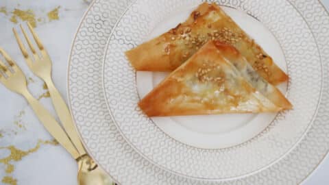 בורקיטס ממולא בשר מעלי פילו