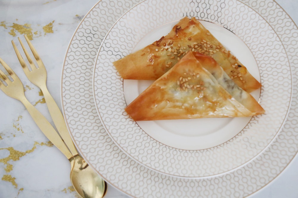 בורקיטס ממולא בשר מעלי פילו