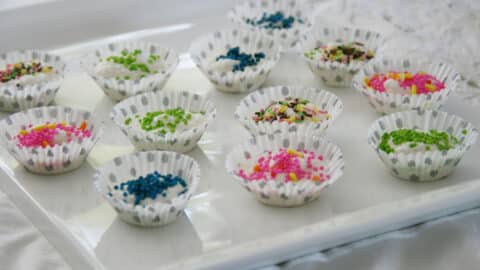 עוגיות קוקוס טבעוניות