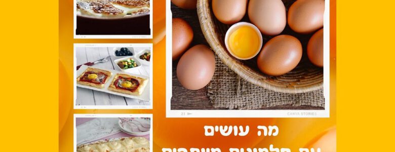 מה עושים עם חלמונים מיותרים