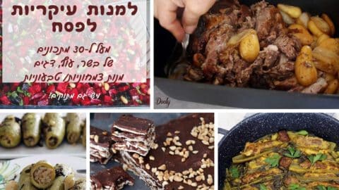 מתכונים למנות עיקריות לפסח