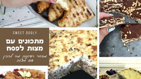 מתכונים עם מצות לפסח