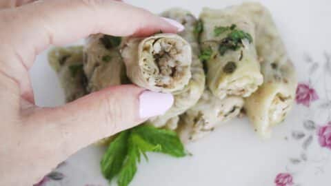 כרוב ממולא בשר ואורז