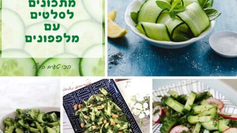 מתכונים לסלטים עם מלפפונים