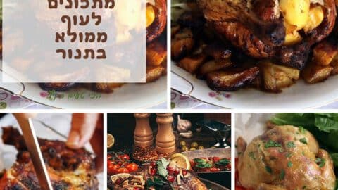 מתכונים לעוף ממולא בתנור