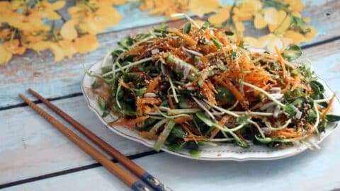 סלט נבטים בסגנון אסייתי