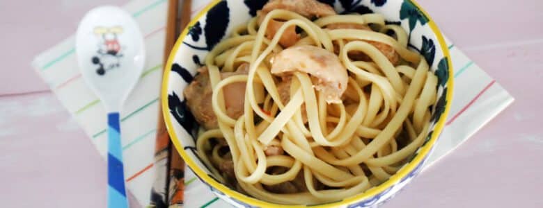 מוקפץ לילדים עוף עם נודלס