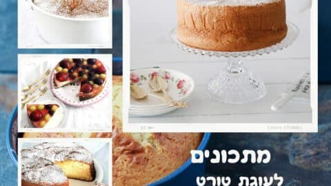מתכונים לעוגת טורט ליום כיפור