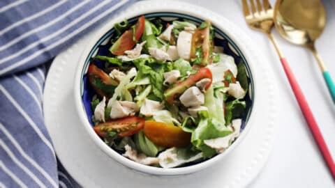 סלט עוף קר ברוטב ויניגרט