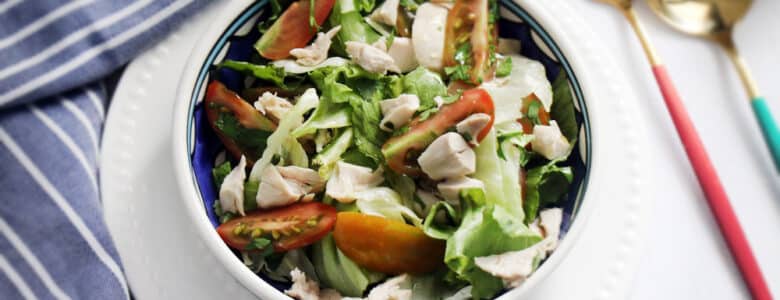 סלט עוף קר ברוטב ויניגרט