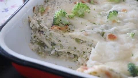 לזניה ברוקולי עם גבינות