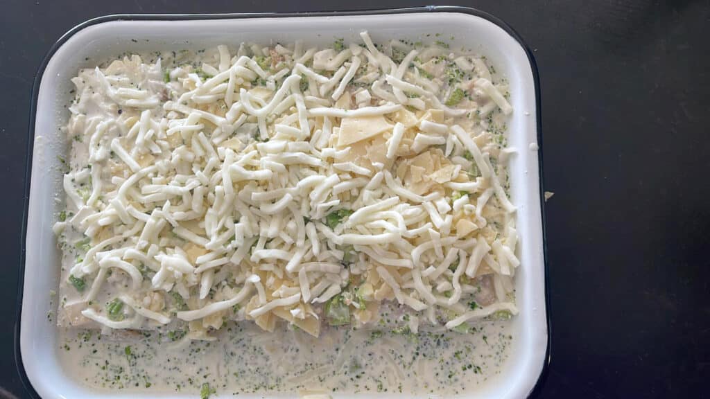 לזניה ברוקולי עם גבינות