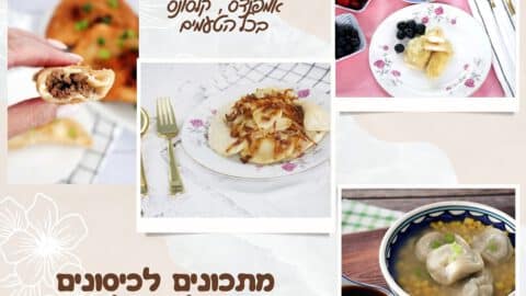 מתכונים לכיסונים מכל העולם