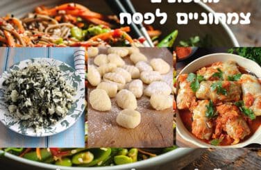 מתכונים צמחוניים לפסח