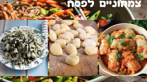 מתכונים צמחוניים לפסח