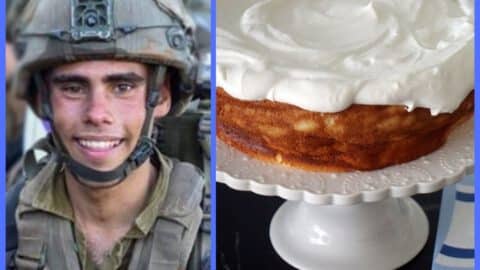 עוגת גבינה ללא גלוטן שעידו אהב