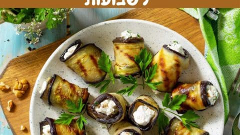 מתכונים עם חצילים לשבועות