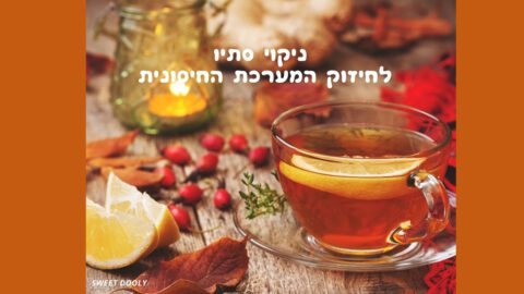 סדנת סתיו לניקוי וחיזוק המערכת החיסונית