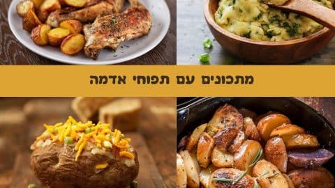 11 מתכונים לתפוחי אדמה מכל הסוגים