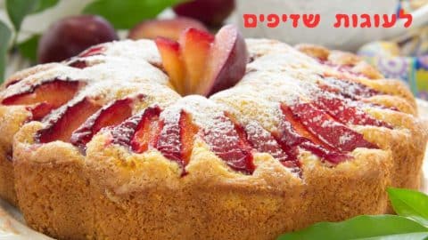 שבעה מתכונים לעוגות שזיפים