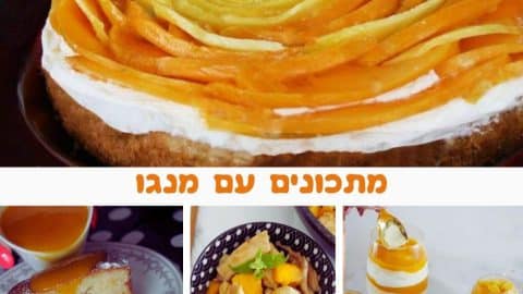 9 מתכונים עם מנגו