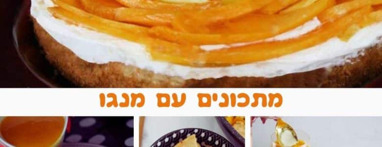 9 מתכונים עם מנגו