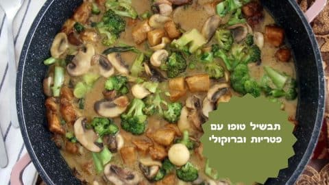 תבשיל טופו עם פטריות וברוקולי