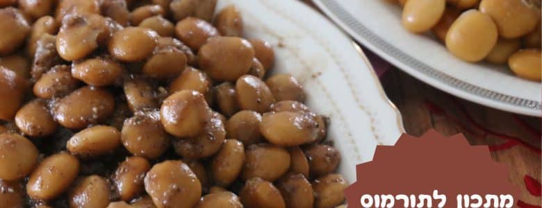 מתכון לתורמוס בייתי טעים