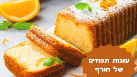 עוגות תפוזים של חורף