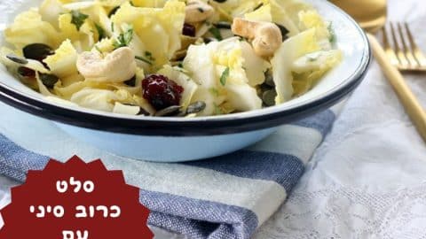 סלט כרוב סיני עם חמוציות