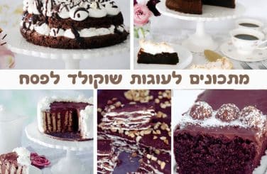 מתכונים לעוגות שוקולד לפסח